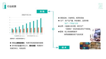打通農(nóng)村商品上下行 農(nóng)村電商項(xiàng)目商業(yè)計(jì)劃書范文解析與案例分享
